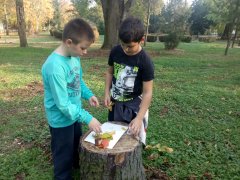 IMG_20171018_161251.jpg